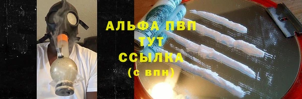 амф Болхов