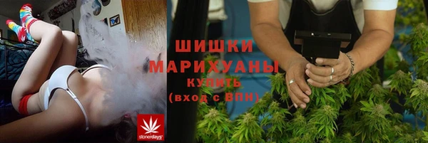 мет Елизово