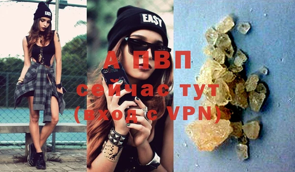 амф Болхов