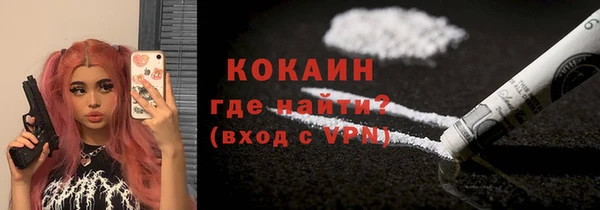 мет Елизово