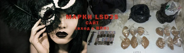 амф Болхов