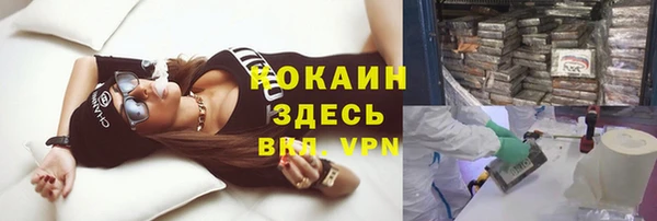 амф Болхов