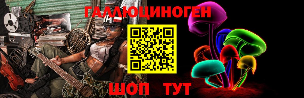 Галлюциногенные грибы Psilocybe Звенигород