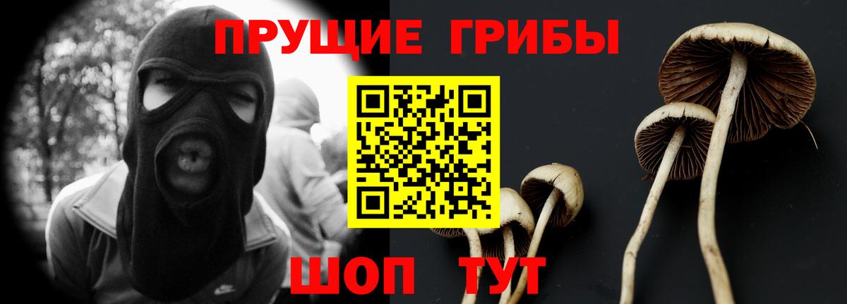Галлюциногенные грибы Magic Shrooms  магазин  наркотиков  Вход с VPN  Звенигород  Галлюциногенные грибы прущие грибы 